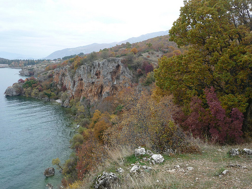 Peter Hahndorf 11-Nov-2011