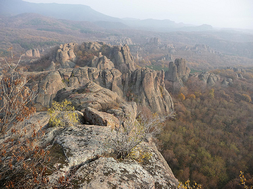 Peter Hahndorf 22-Nov-2011