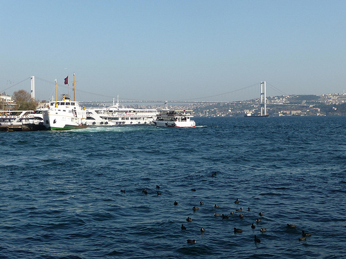 Peter Hahndorf 5-Dec-2011