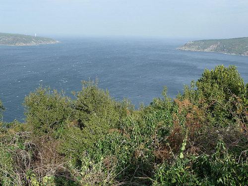 Peter Hahndorf 6-Dec-2011