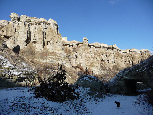 Peter Hahndorf 10-Dec-2011