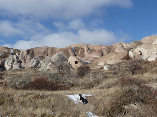 Peter Hahndorf 10-Dec-2011