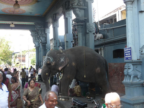 Peter Hahndorf 2-Mar-2012