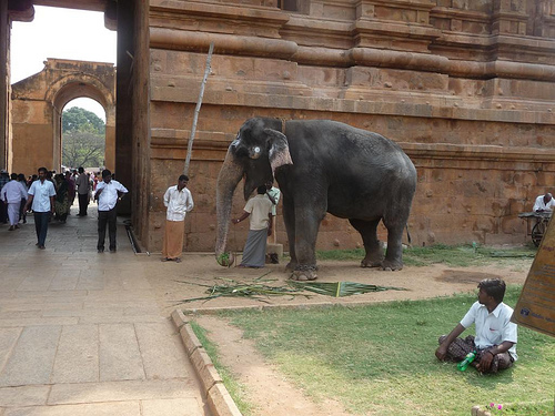 Peter Hahndorf 4-Mar-2012