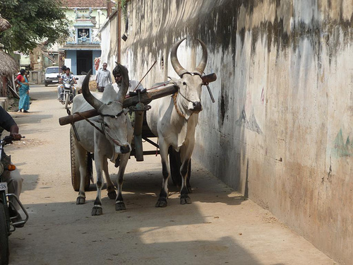 Peter Hahndorf 4-Mar-2012