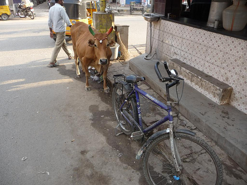 Peter Hahndorf 5-Mar-2012