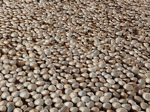 Peter Hahndorf 11-Mar-2012