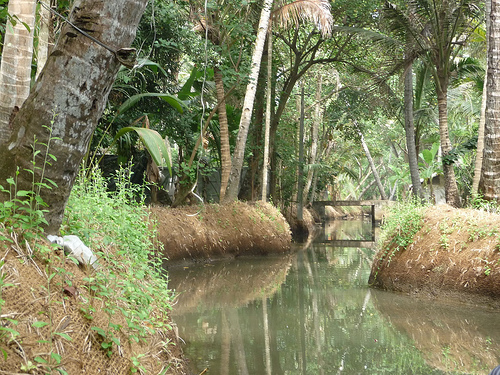 Peter Hahndorf 12-Mar-2012