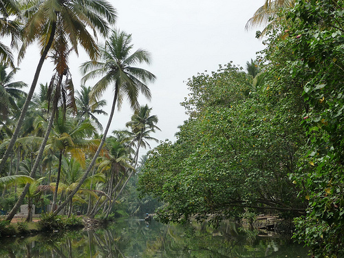 Peter Hahndorf 12-Mar-2012