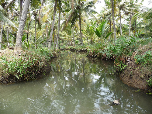 Peter Hahndorf 12-Mar-2012