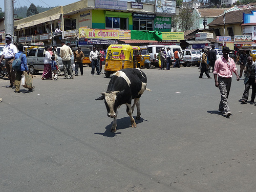 Peter Hahndorf 19-Mar-2012