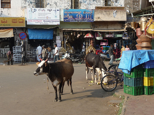 Peter Hahndorf 20-Mar-2012