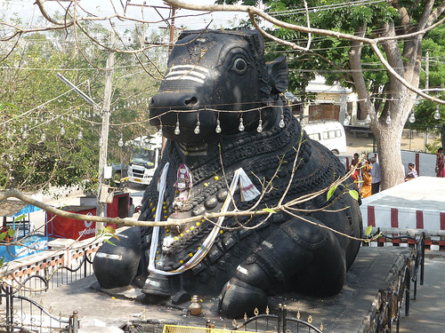 Peter Hahndorf 21-Mar-2012