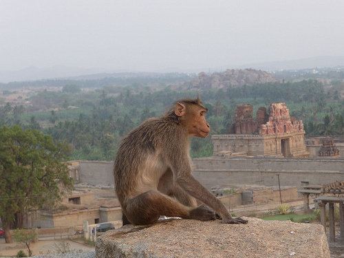 Peter Hahndorf 25-Mar-2012