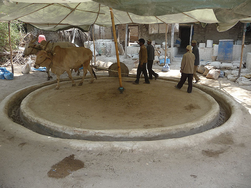 Peter Hahndorf 26-Mar-2012