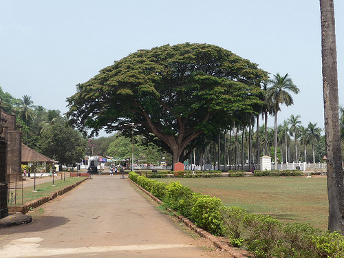 Peter Hahndorf 31-Mar-2012