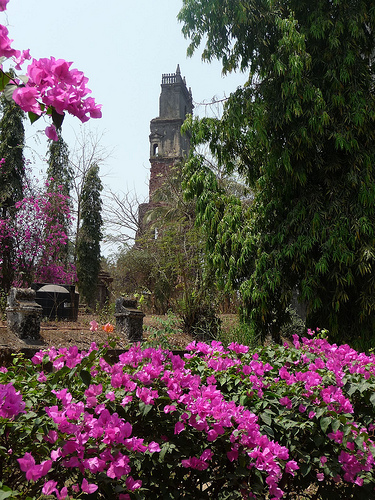 Peter Hahndorf 31-Mar-2012