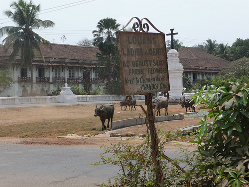 Peter Hahndorf 4-Apr-2012