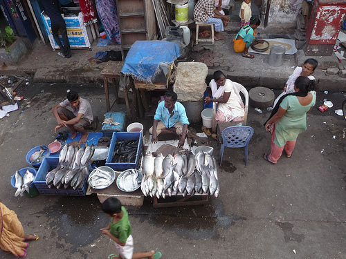 Peter Hahndorf 11-Apr-2012