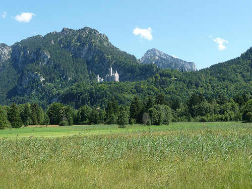 Peter Hahndorf 17-Aug-2012