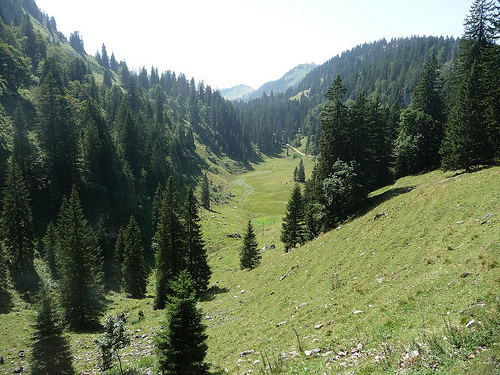 Peter Hahndorf 23-Aug-2012