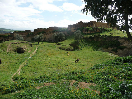 Peter Hahndorf 28-Mar-2013