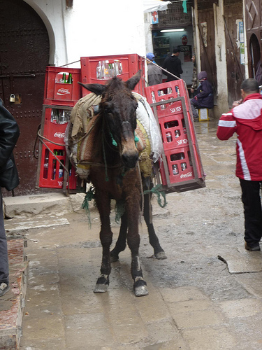 Peter Hahndorf 28-Mar-2013