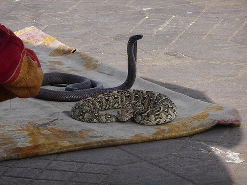 Peter Hahndorf 31-Mar-2013