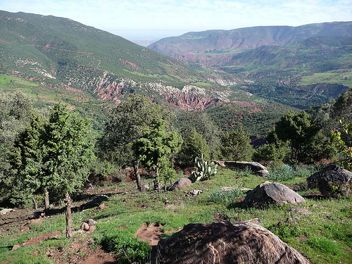 Peter Hahndorf 2-Apr-2013