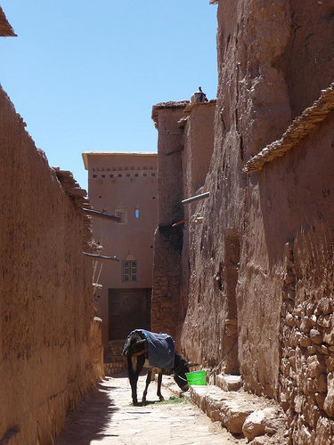 Peter Hahndorf 2-Apr-2013