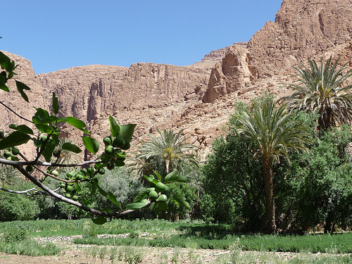 Peter Hahndorf 3-Apr-2013