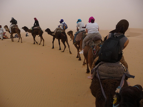 Peter Hahndorf 3-Apr-2013