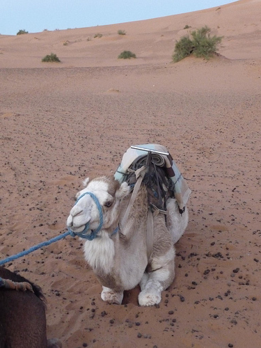 Peter Hahndorf 4-Apr-2013