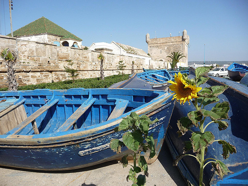 Peter Hahndorf 7-Apr-2013