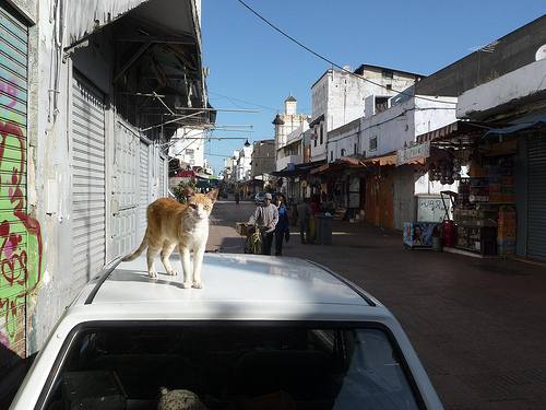 Peter Hahndorf 10-Apr-2013
