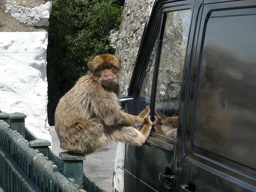 Peter Hahndorf 11-Apr-2013