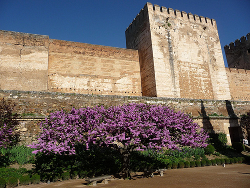 Peter Hahndorf 18-Apr-2013