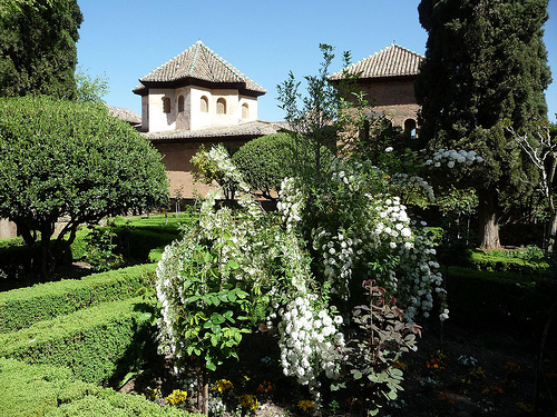 Peter Hahndorf 18-Apr-2013