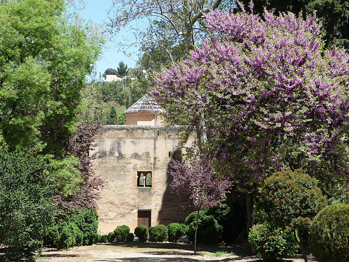 Peter Hahndorf 18-Apr-2013