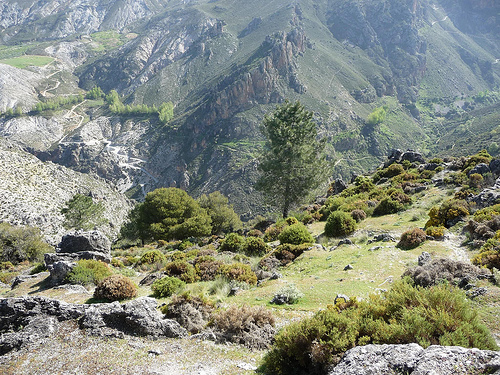 Peter Hahndorf 19-Apr-2013