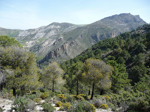 Peter Hahndorf 19-Apr-2013