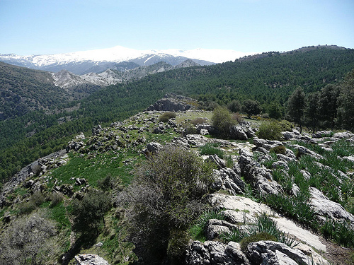 Peter Hahndorf 19-Apr-2013