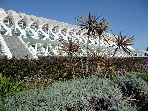 Peter Hahndorf 23-Apr-2013