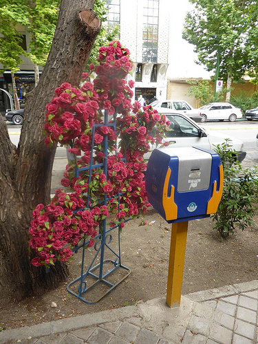 Peter Hahndorf 15-May-2014