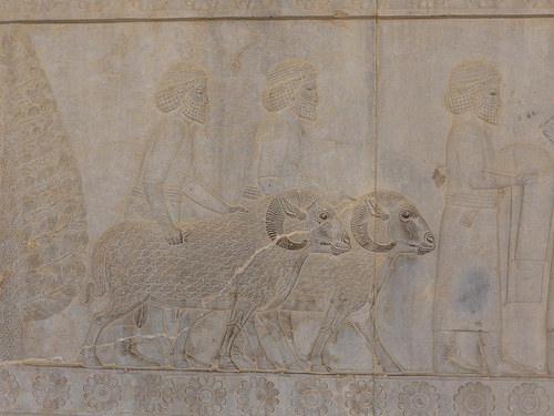 Peter Hahndorf 24-May-2014