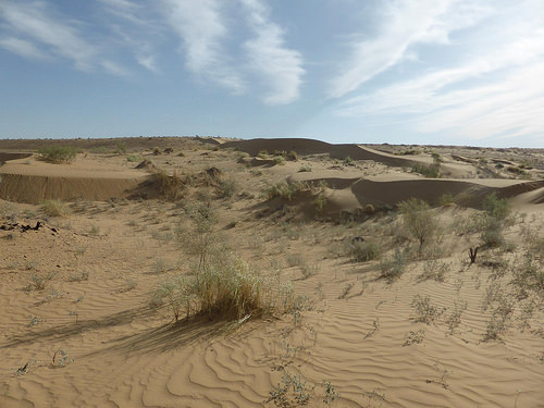 Peter Hahndorf 4-Jun-2014