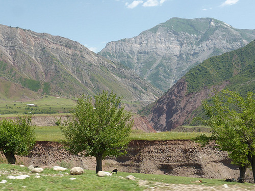 Peter Hahndorf 24-Jun-2014