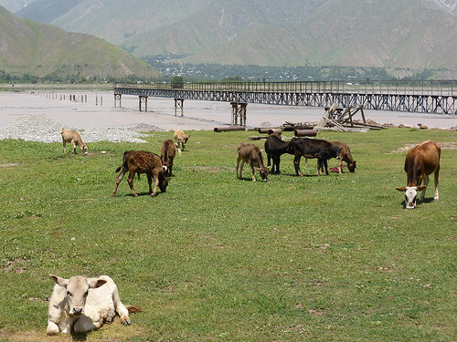 Peter Hahndorf 25-Jun-2014