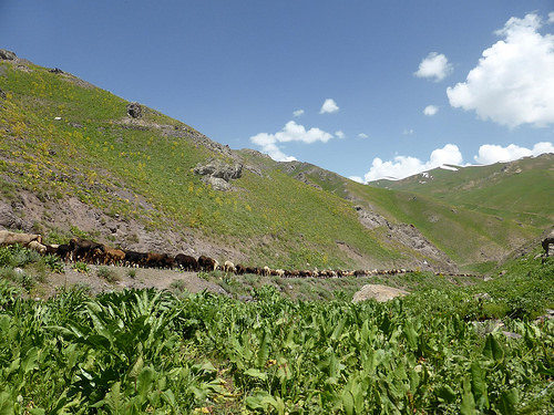 Peter Hahndorf 27-Jun-2014