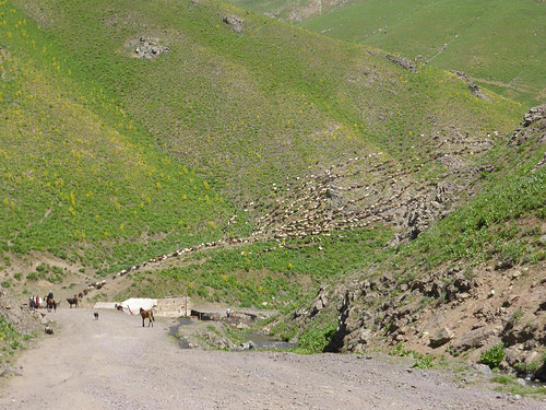 Peter Hahndorf 27-Jun-2014